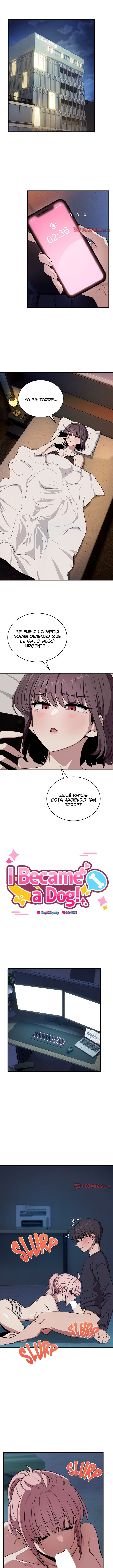 Imagen del capítulo 16